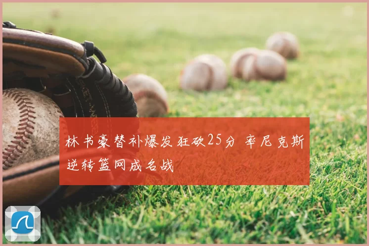 林书豪替补爆发狂砍25分 率尼克斯逆转篮网成名战