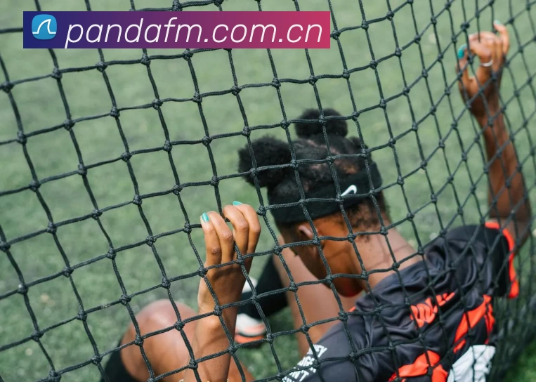 App Interface Preview