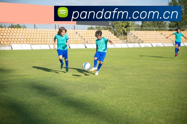 196体育APP官方下载(中国) - 官方网站APP 封面图